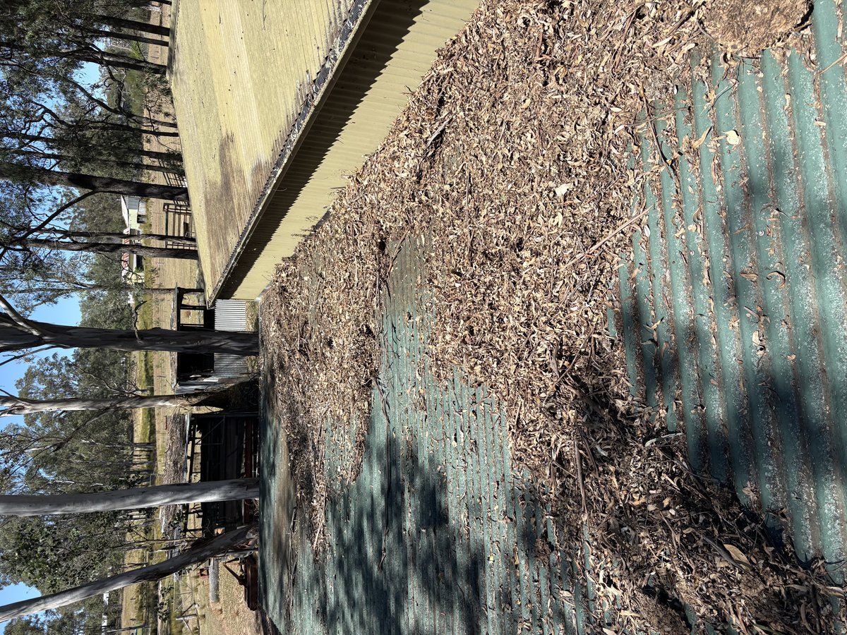 Before gutter cleaning